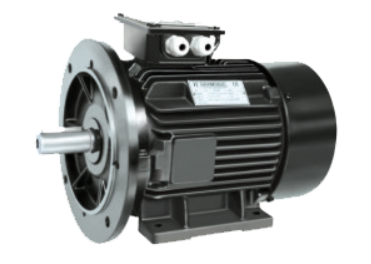 Foot & Flange Motor